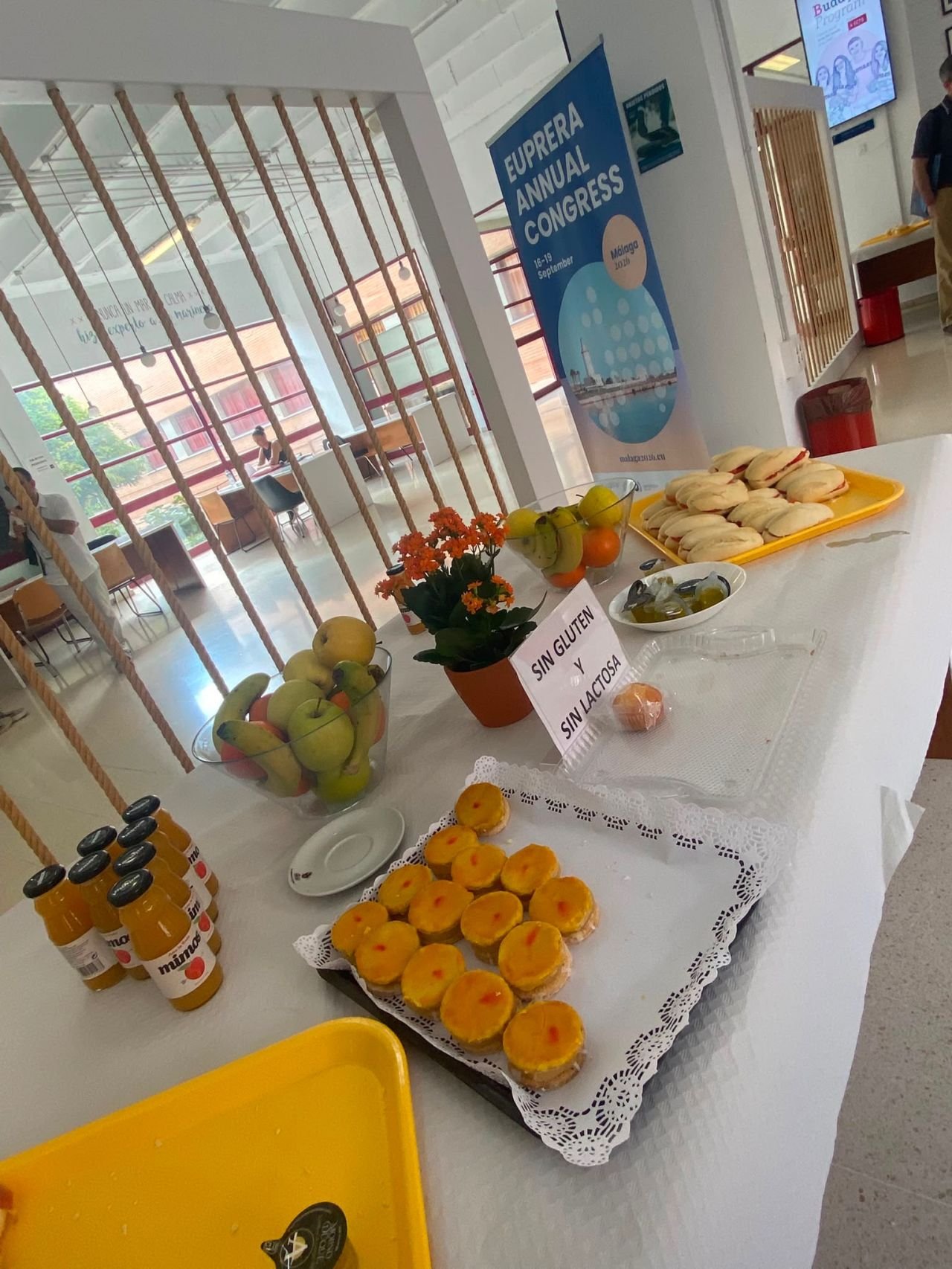 Coffee Break Between Morning Sessions